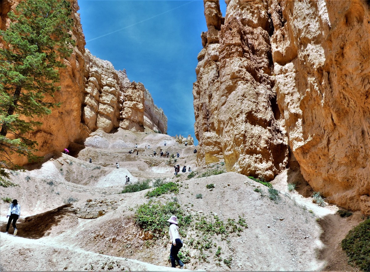 Bryce Canyon Amphitheater trail