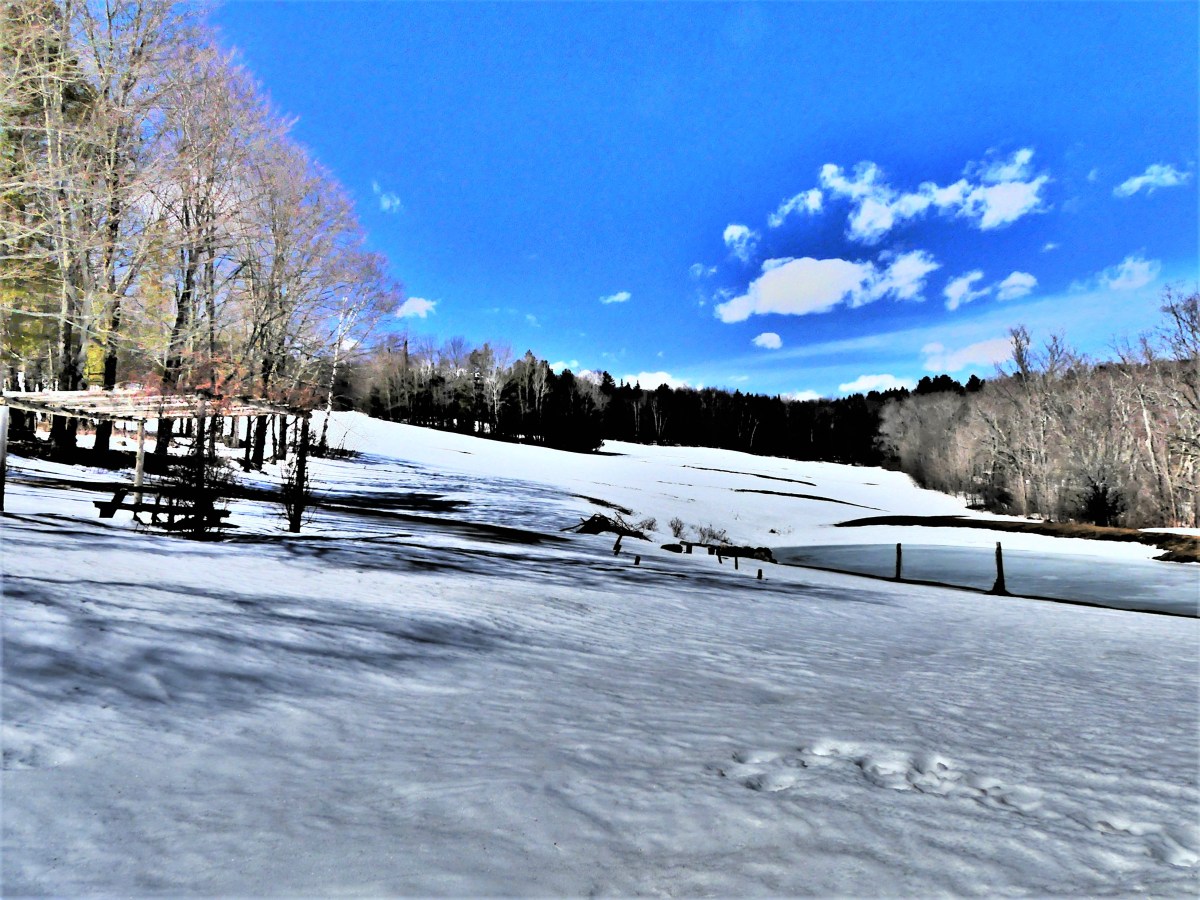 farmland clearing (3)