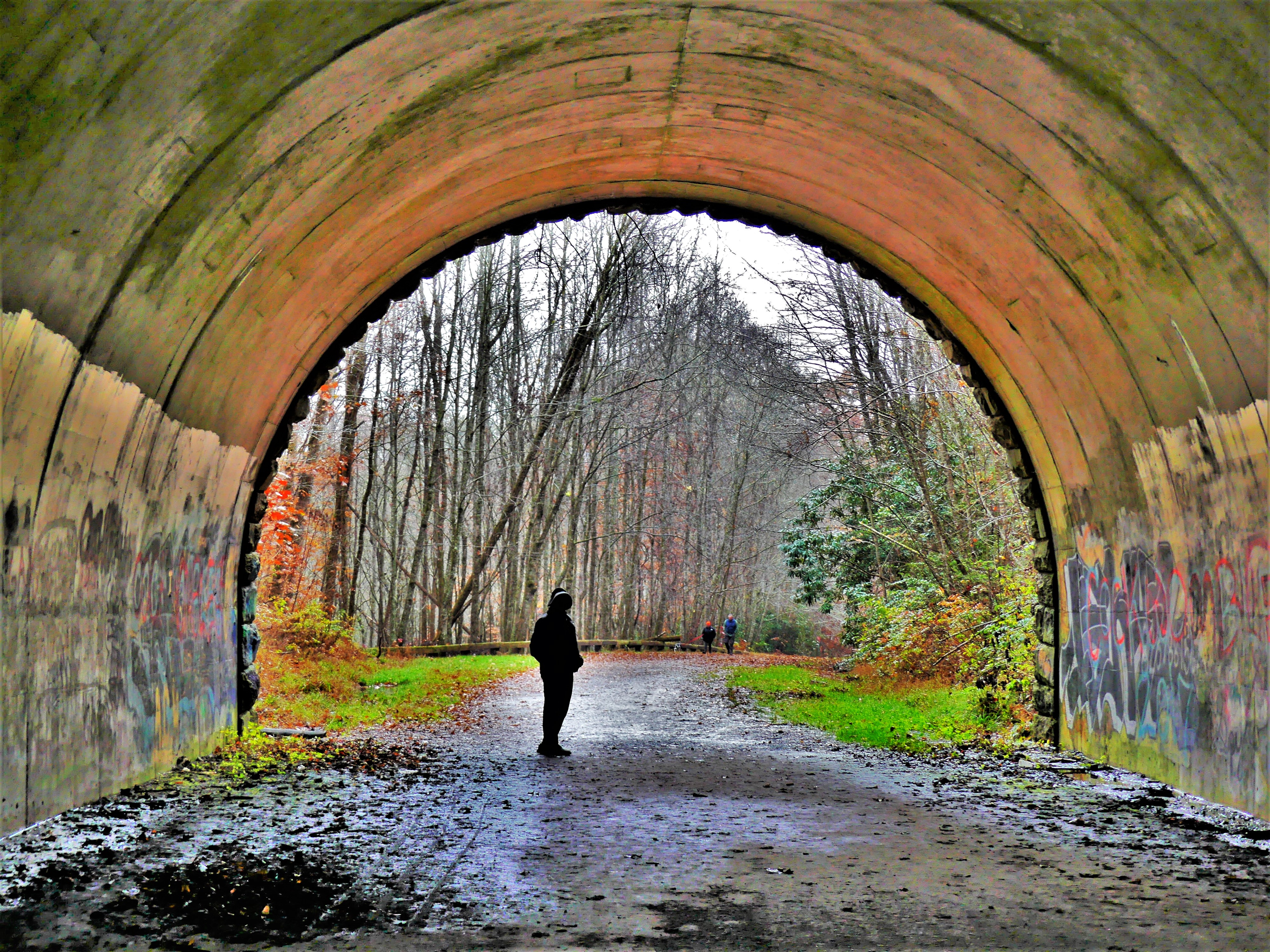 Great Smokys Lakeshore trail (2).jpg