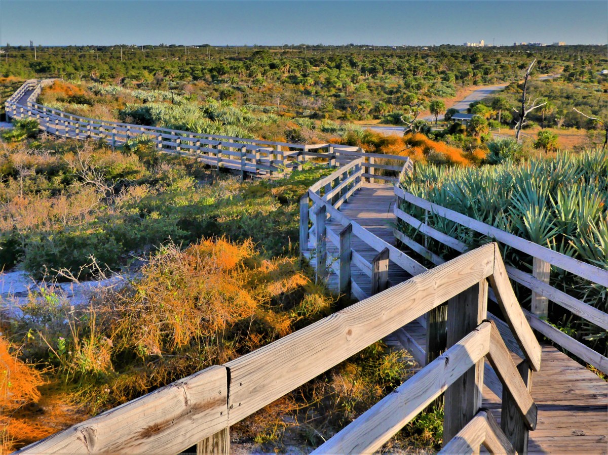 Hobe Mountain Observation Tower trail