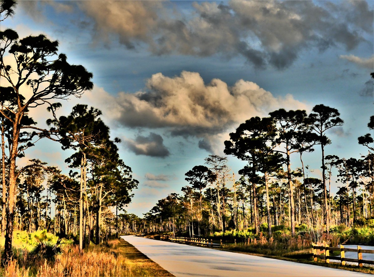 John Dickinson bicycle trail.jpg