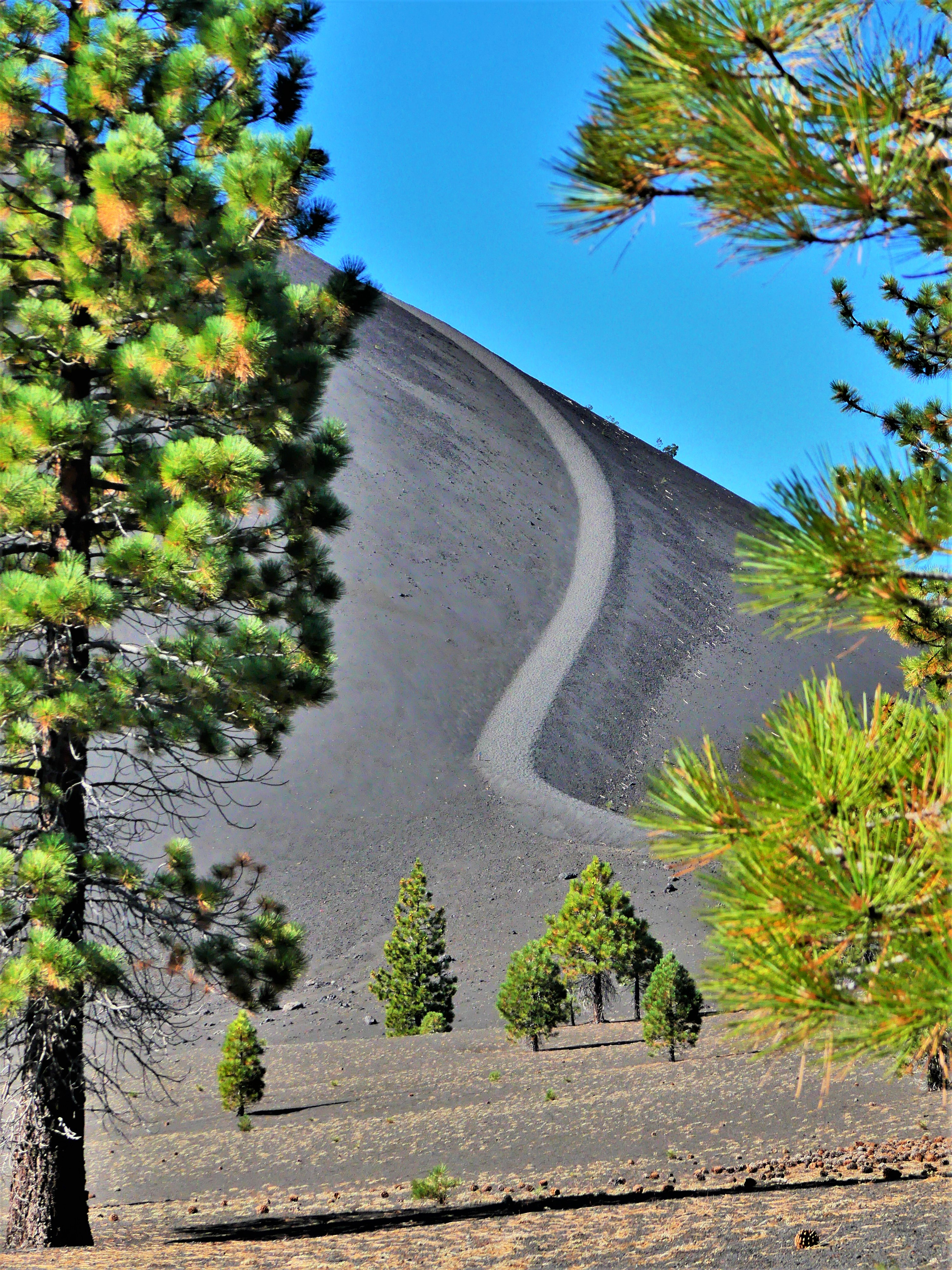 Lassen Cinder Cone trail