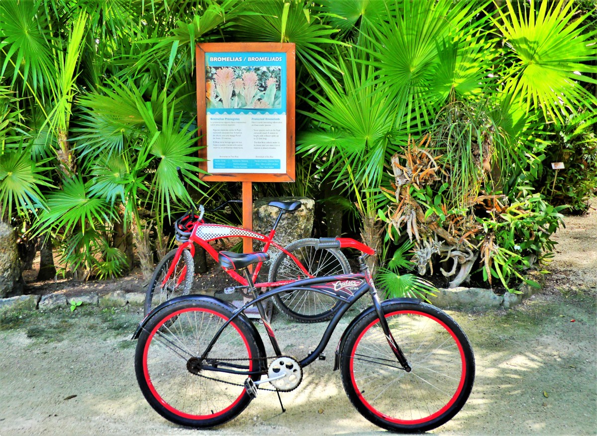 Tres Rios Cenotes trail