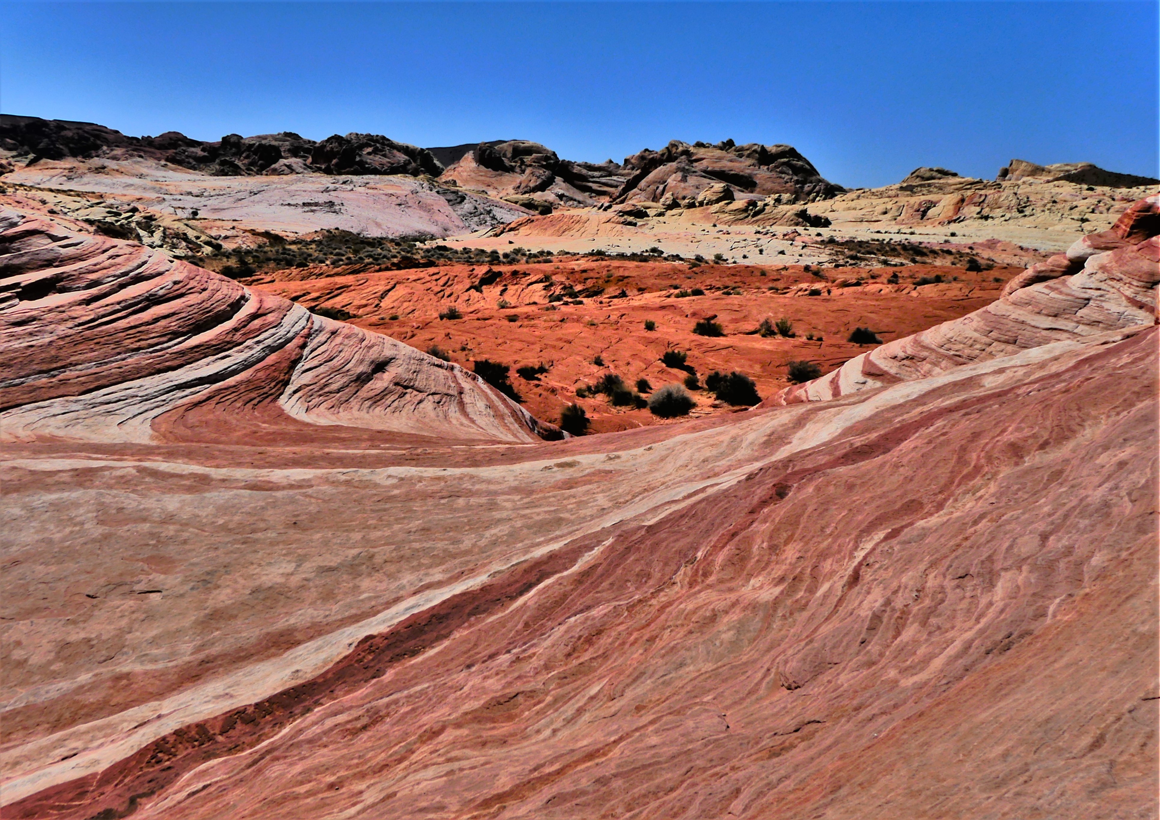 Valley of Fire Wave trail