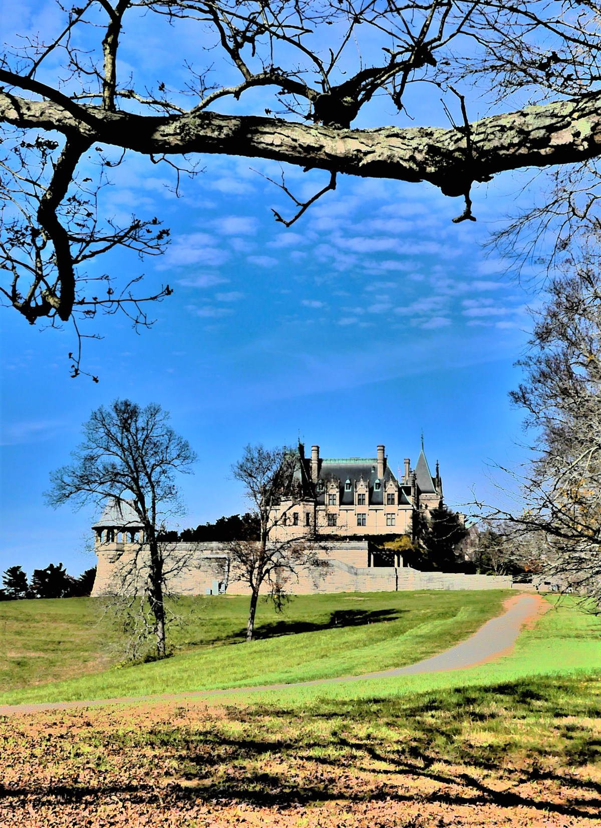 Biltmore Castle