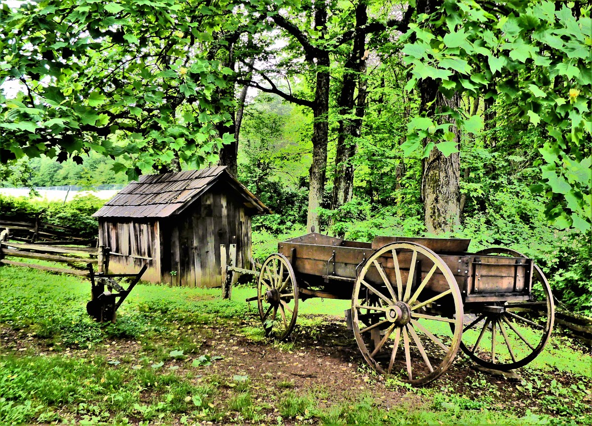 shed and wagon