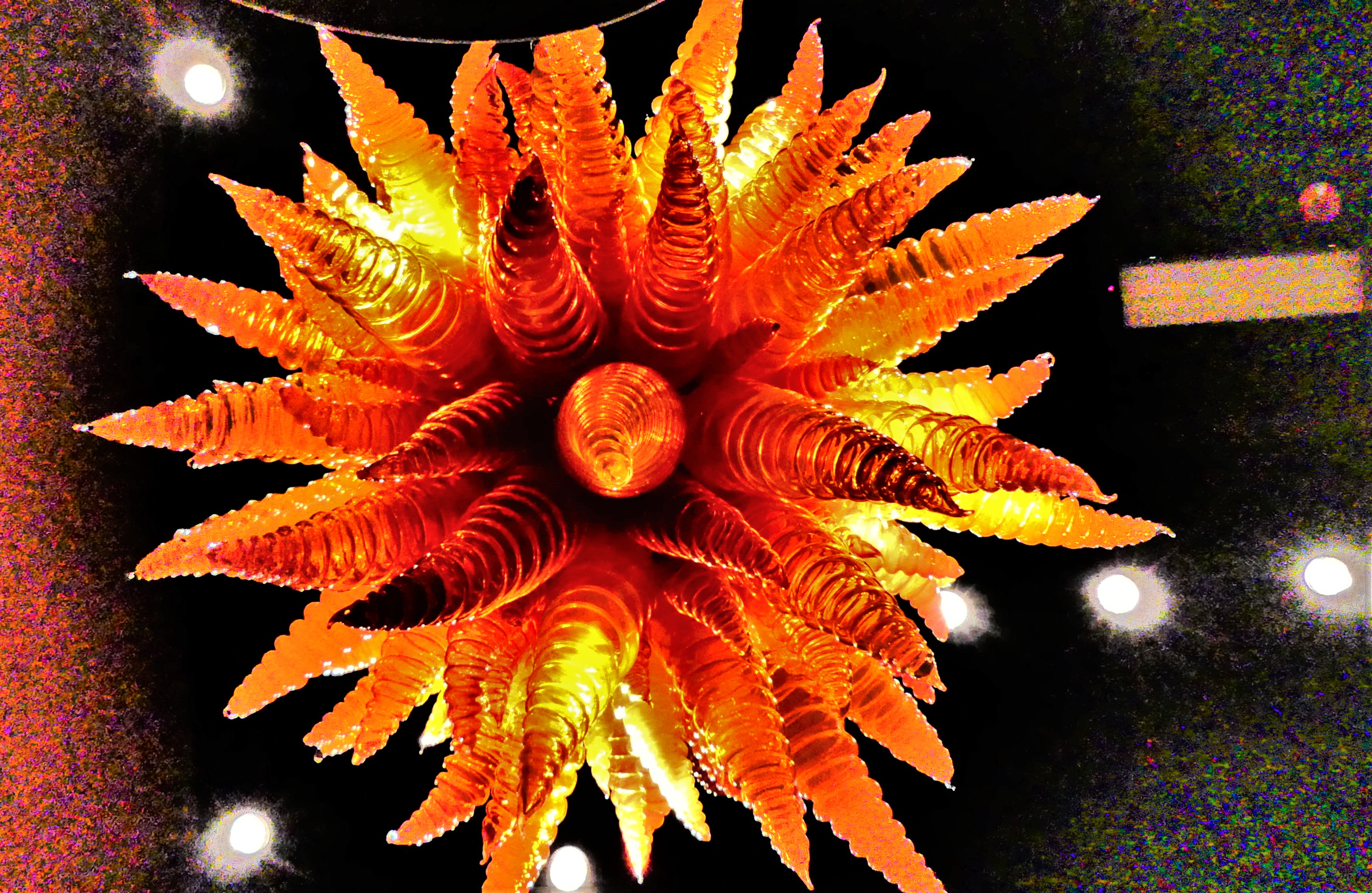 twisted cones flower