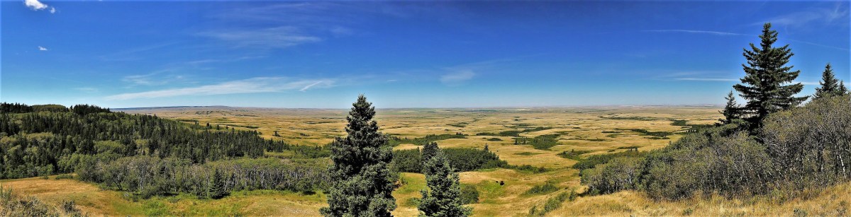 Bald Butte, Cypress Hills PP