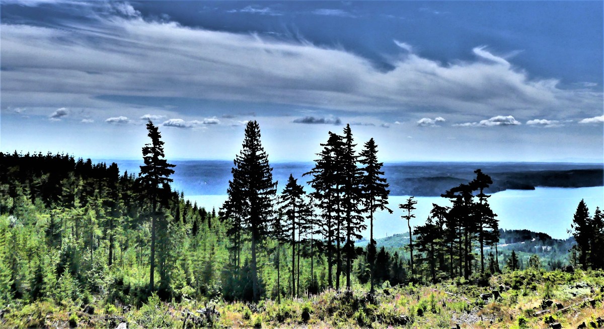 Olympia NP, Hood Canal.jpg