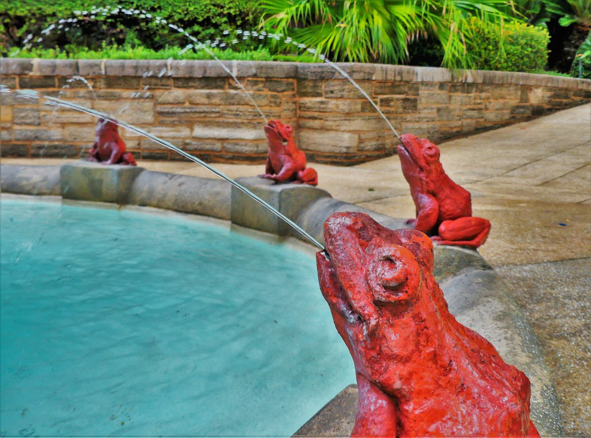 spitting frog fountain (3)