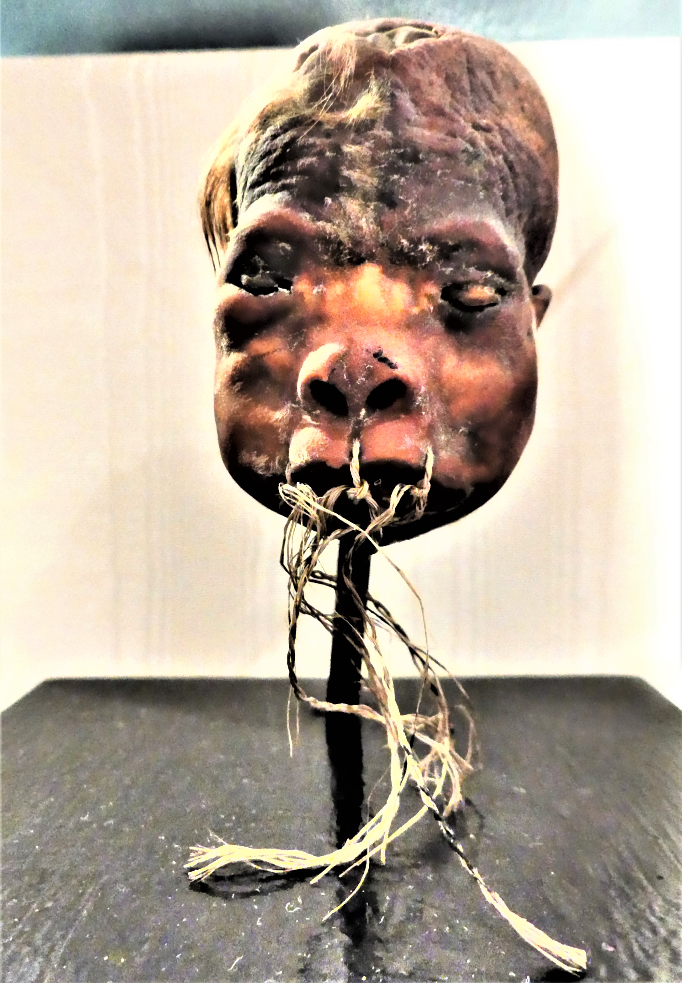 shrunken head (2)