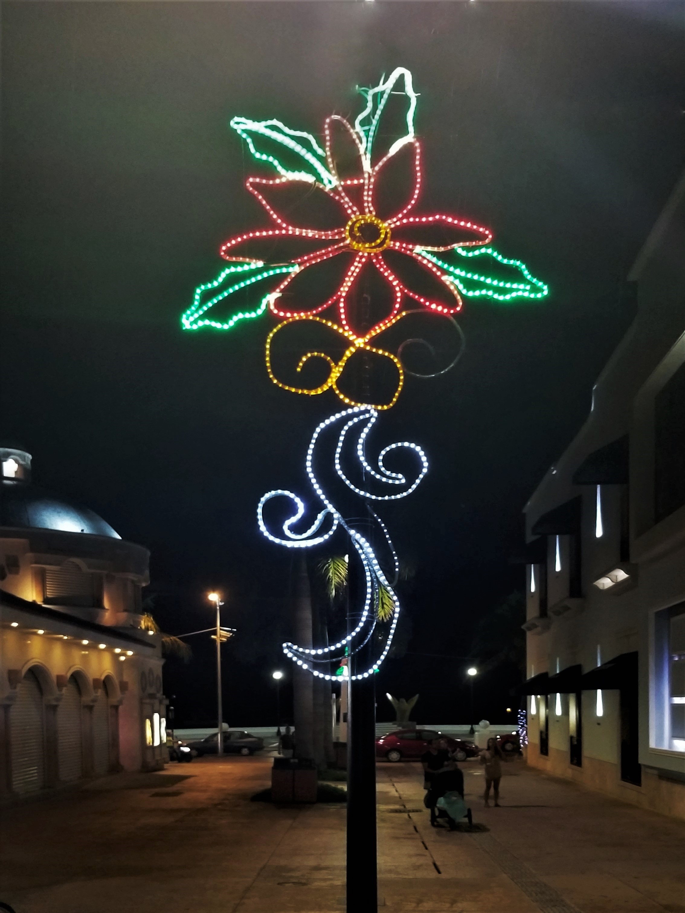 holly decoration (3)