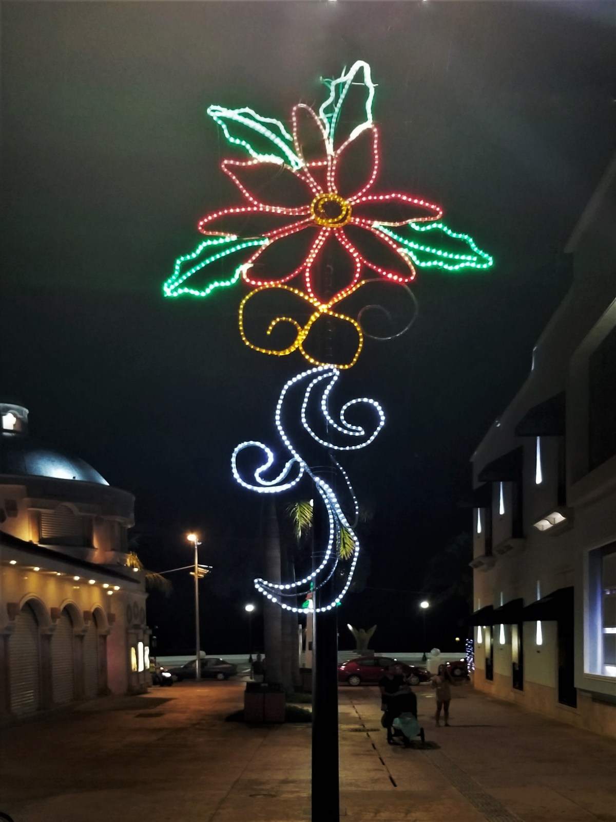 holly decoration (3)