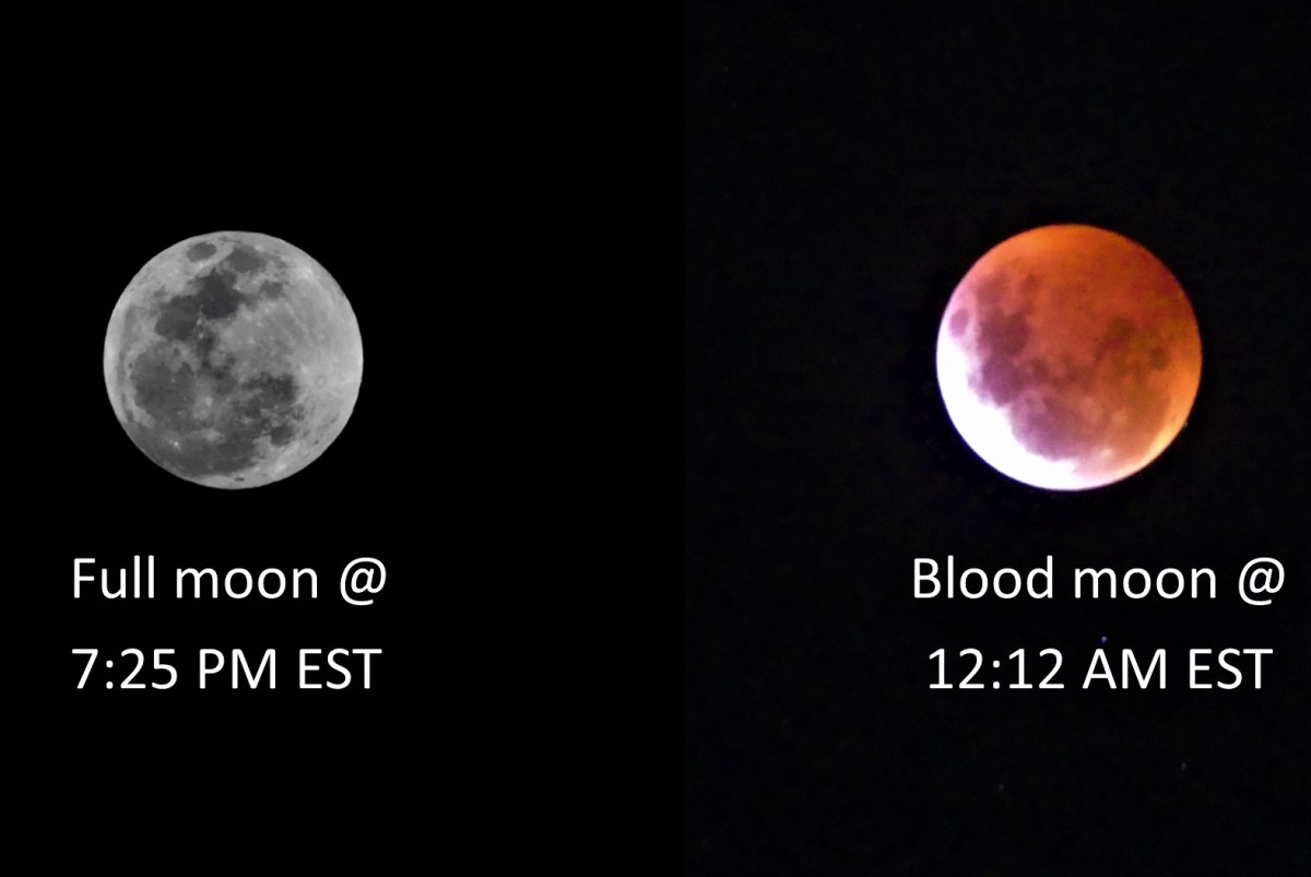 super blood wolf moon eclipse