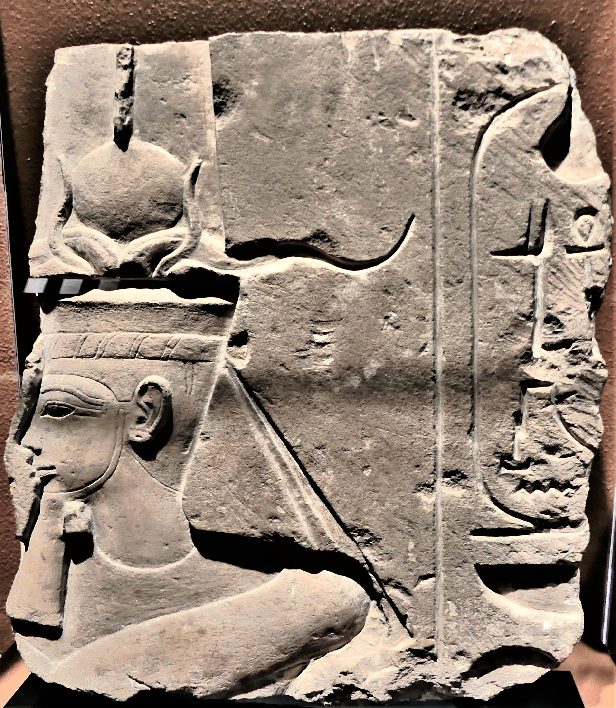 frieze