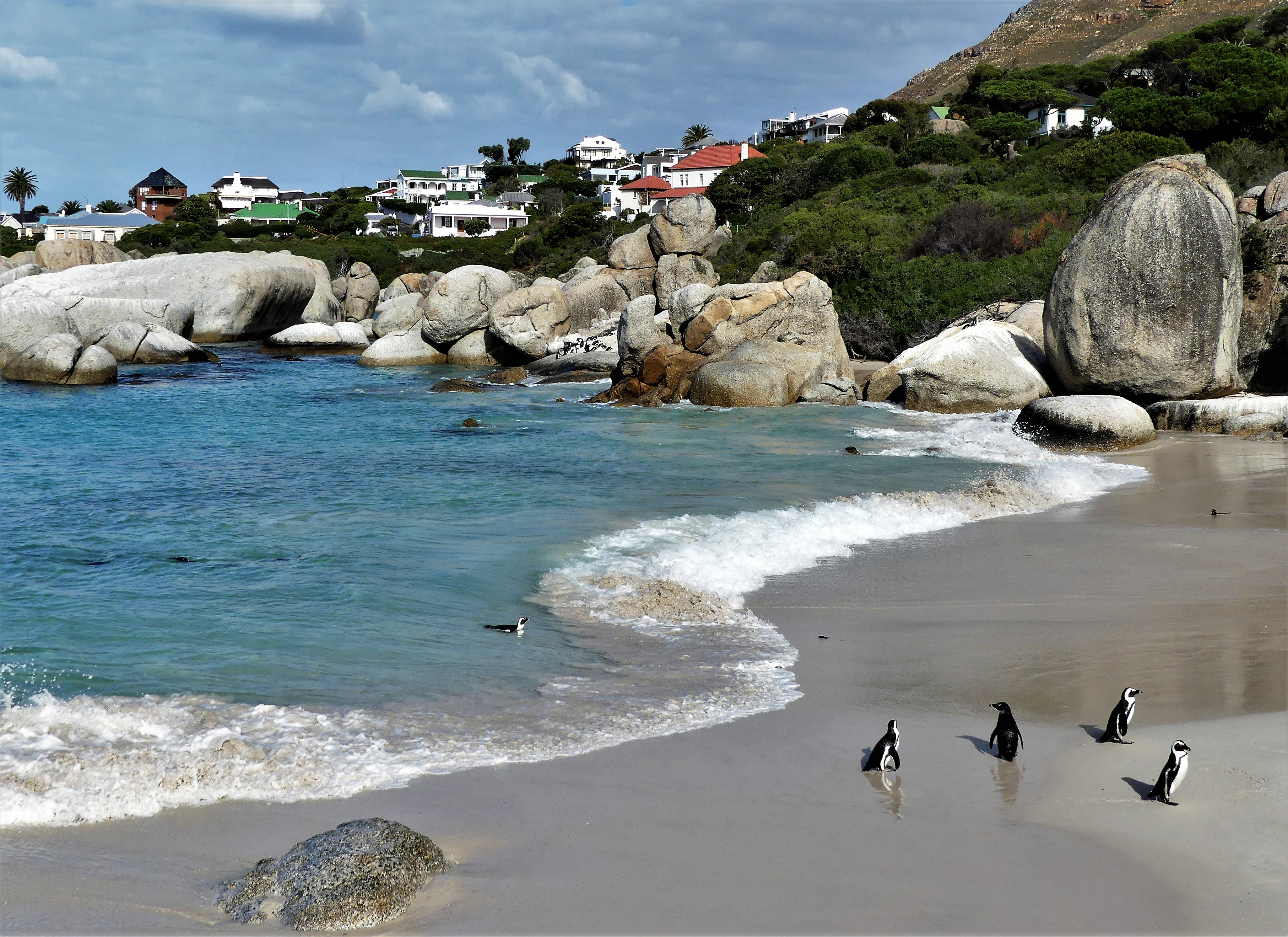 a dip in the Atlantic