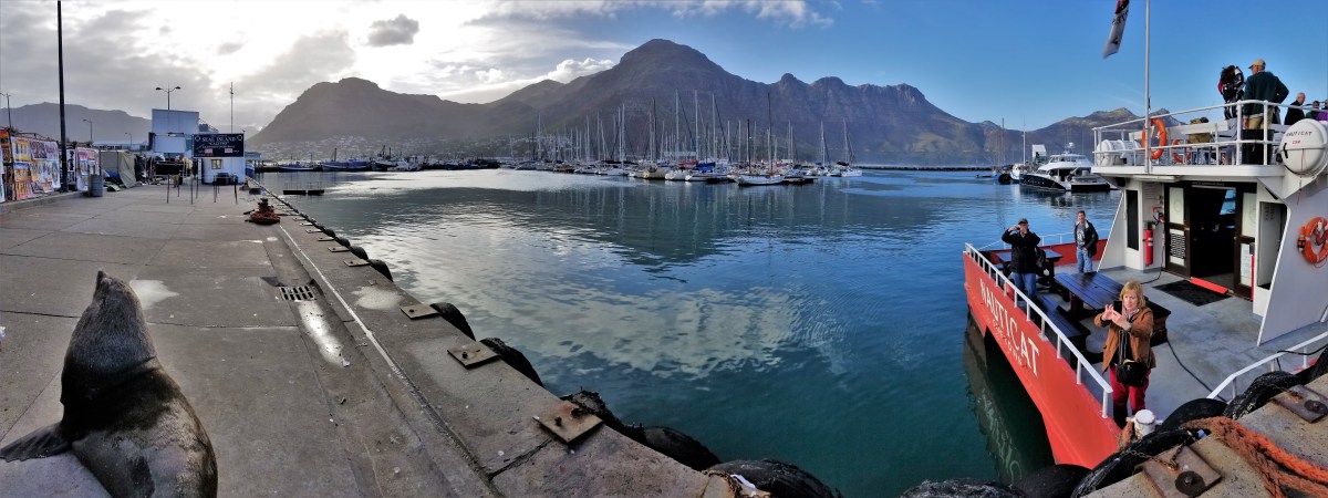 Hout Bay Harbor