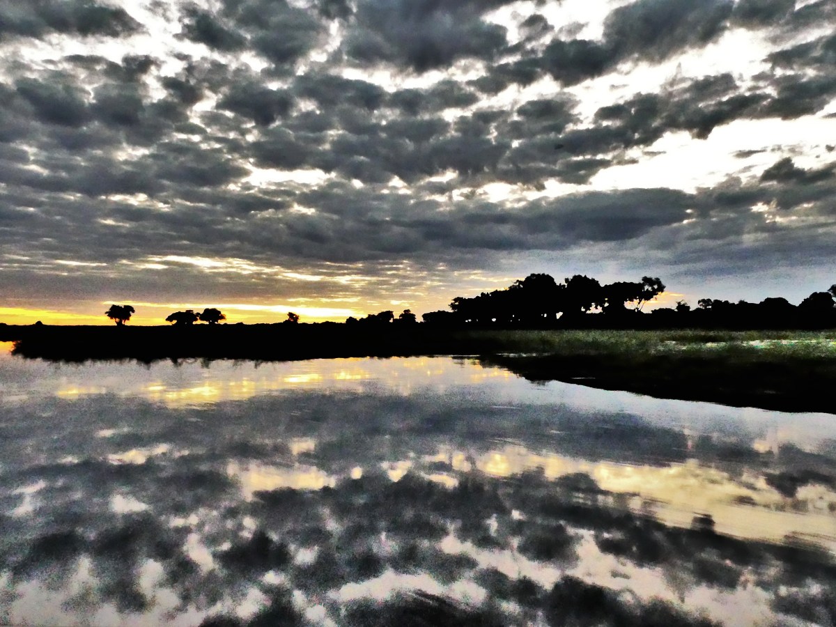 island silhouette (2)