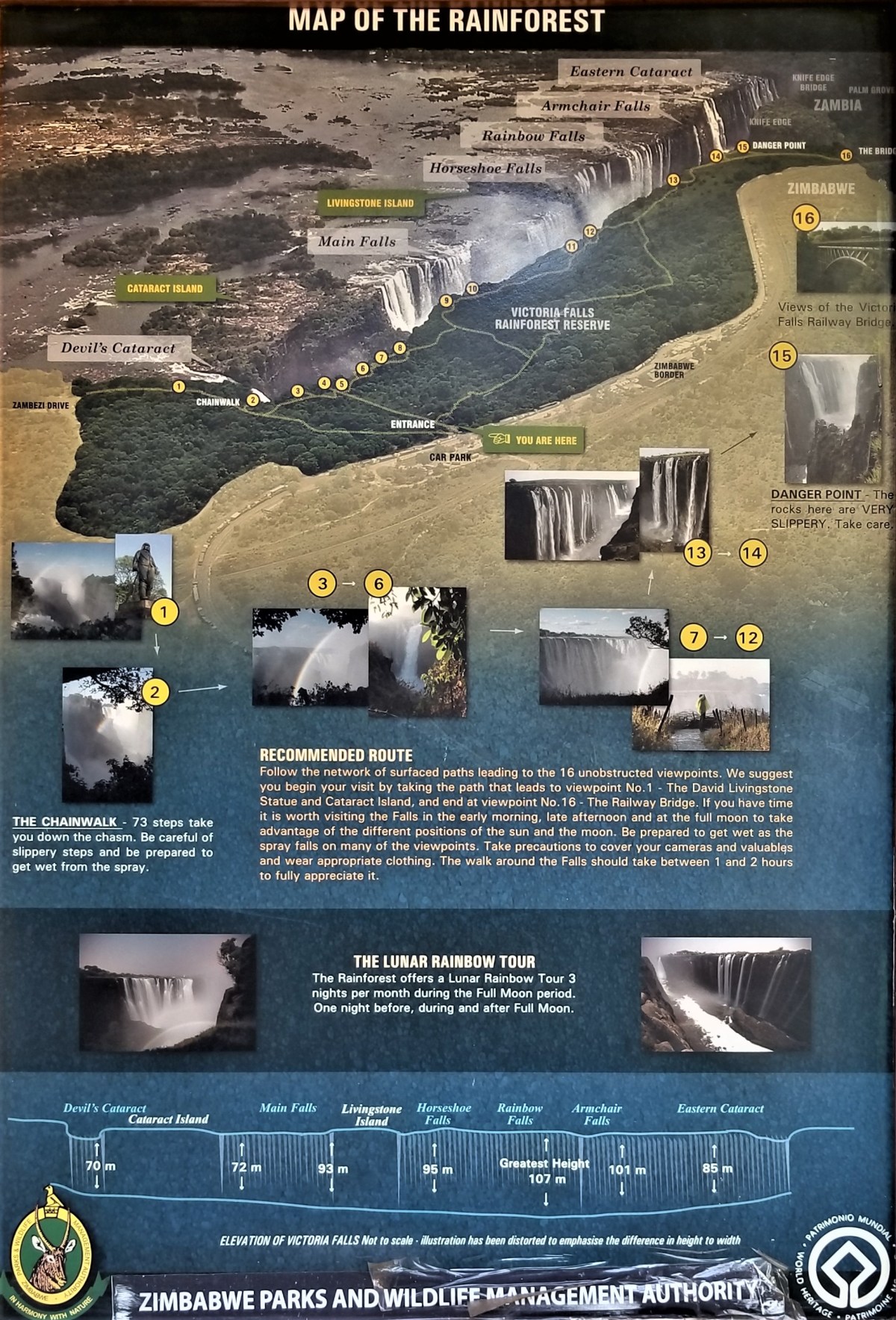 Map of the Rainforest