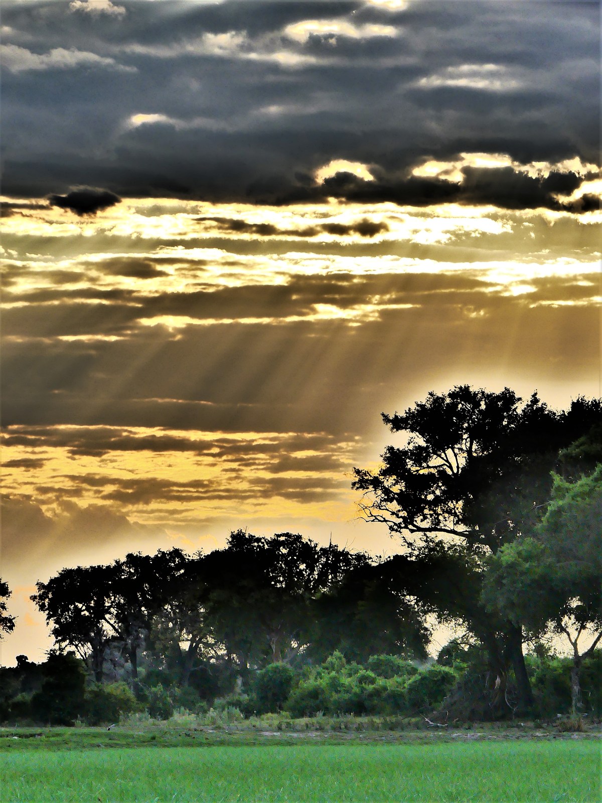 Sunset on the Okavango River