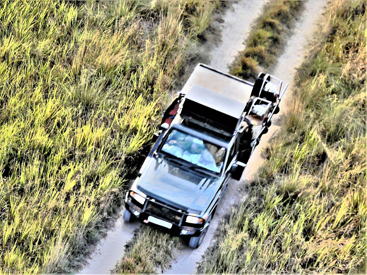 truck and tracks (2)