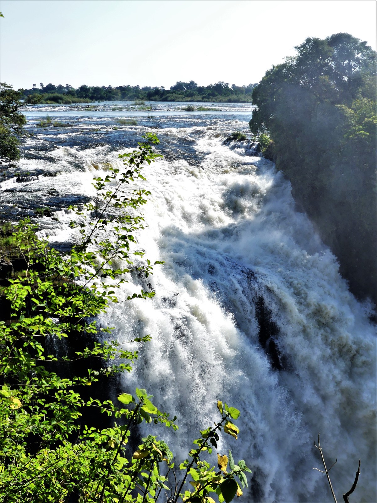 Zambezi River