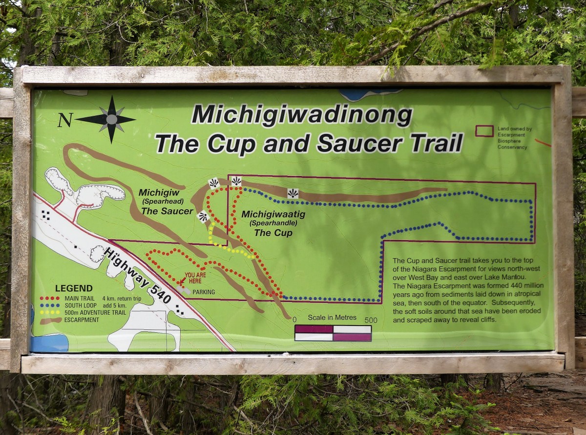 The Cup and Saucer Trail.jpg