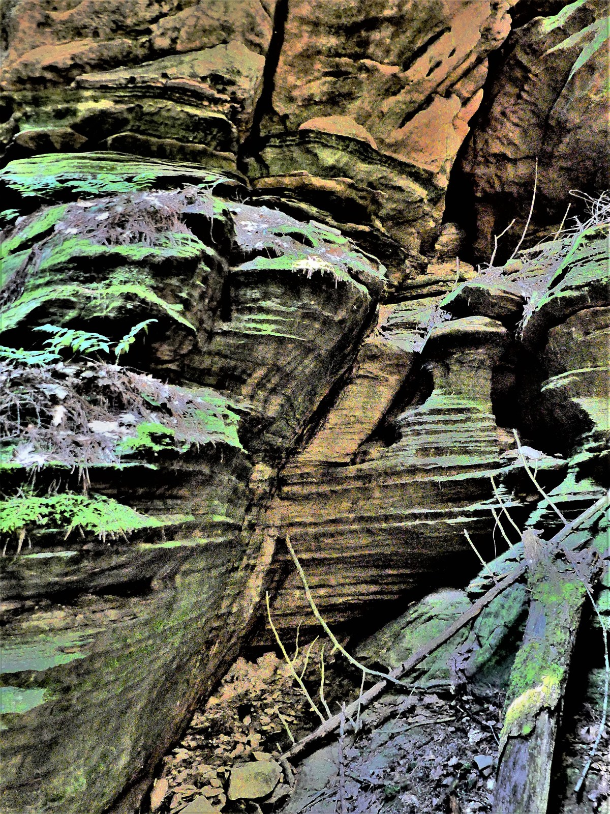 sedimentary formation (2)