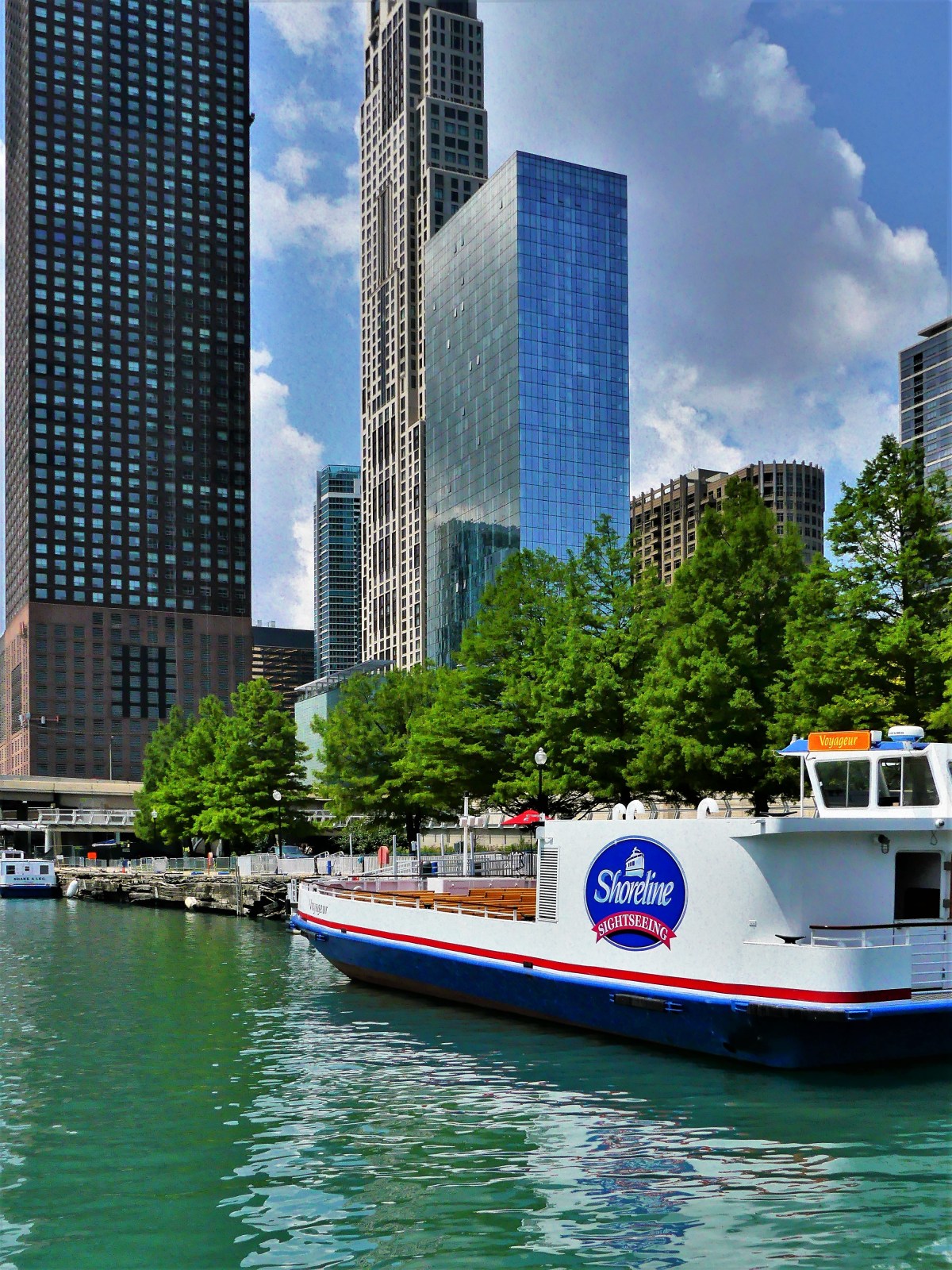 Shoreline Sightseeing