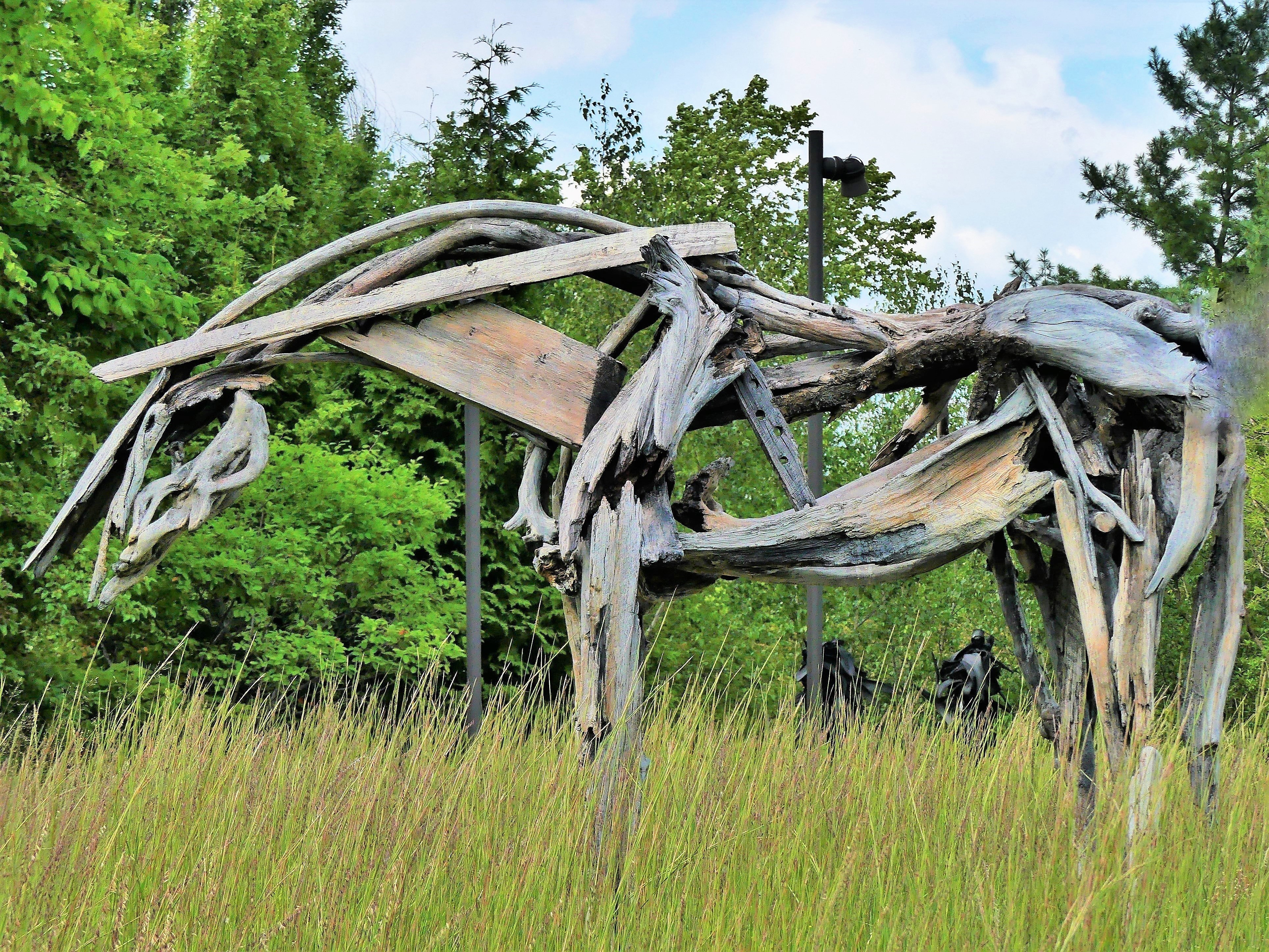 Deborah Butterfield's Cabin Creek