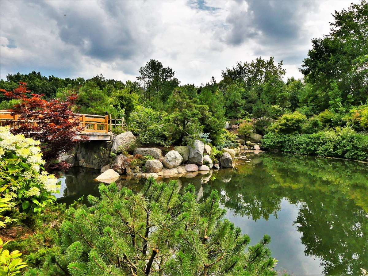 Japanese Garden2