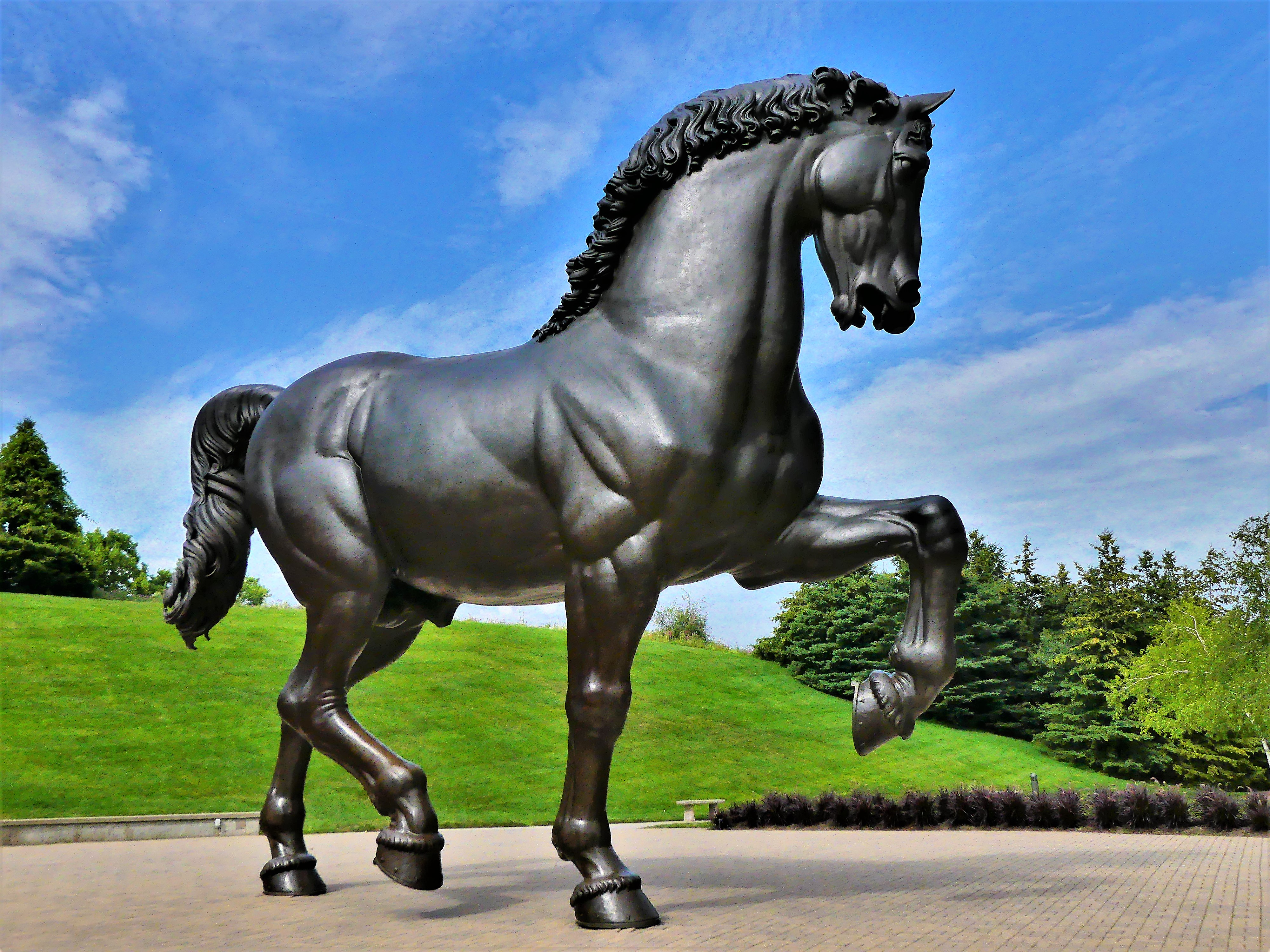 Nina Akuma's American Horse