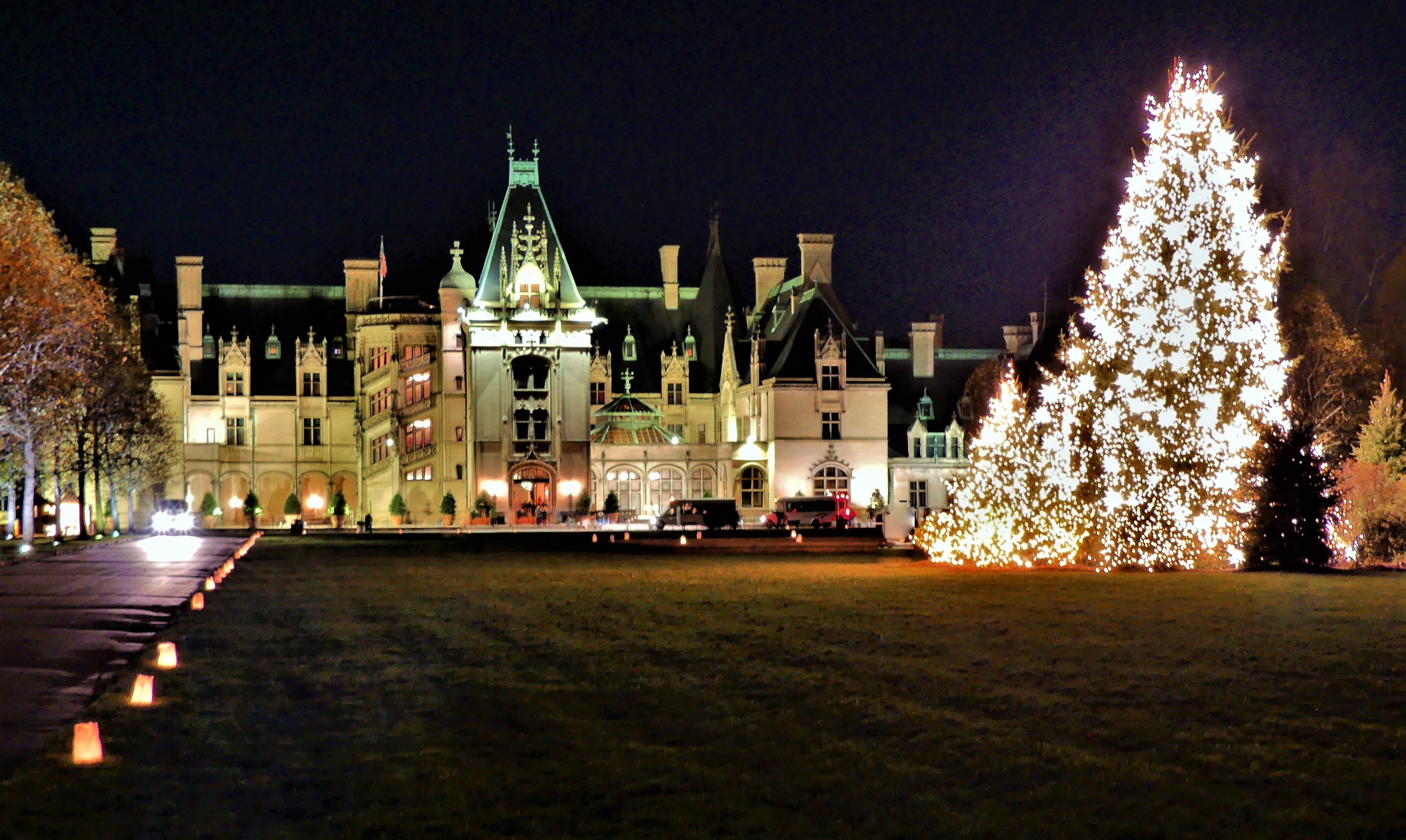 Biltmore Xmas tree