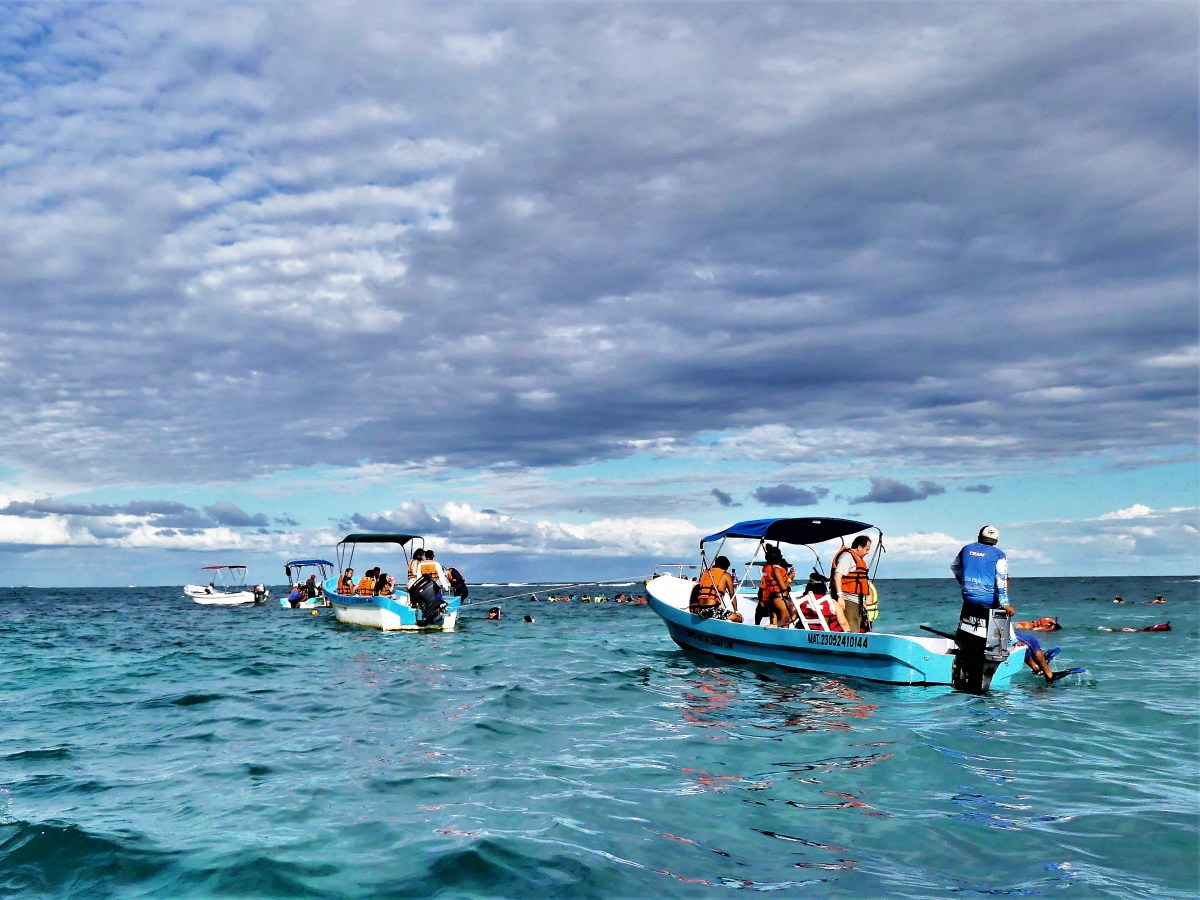 snorkeling over a reef.jpg