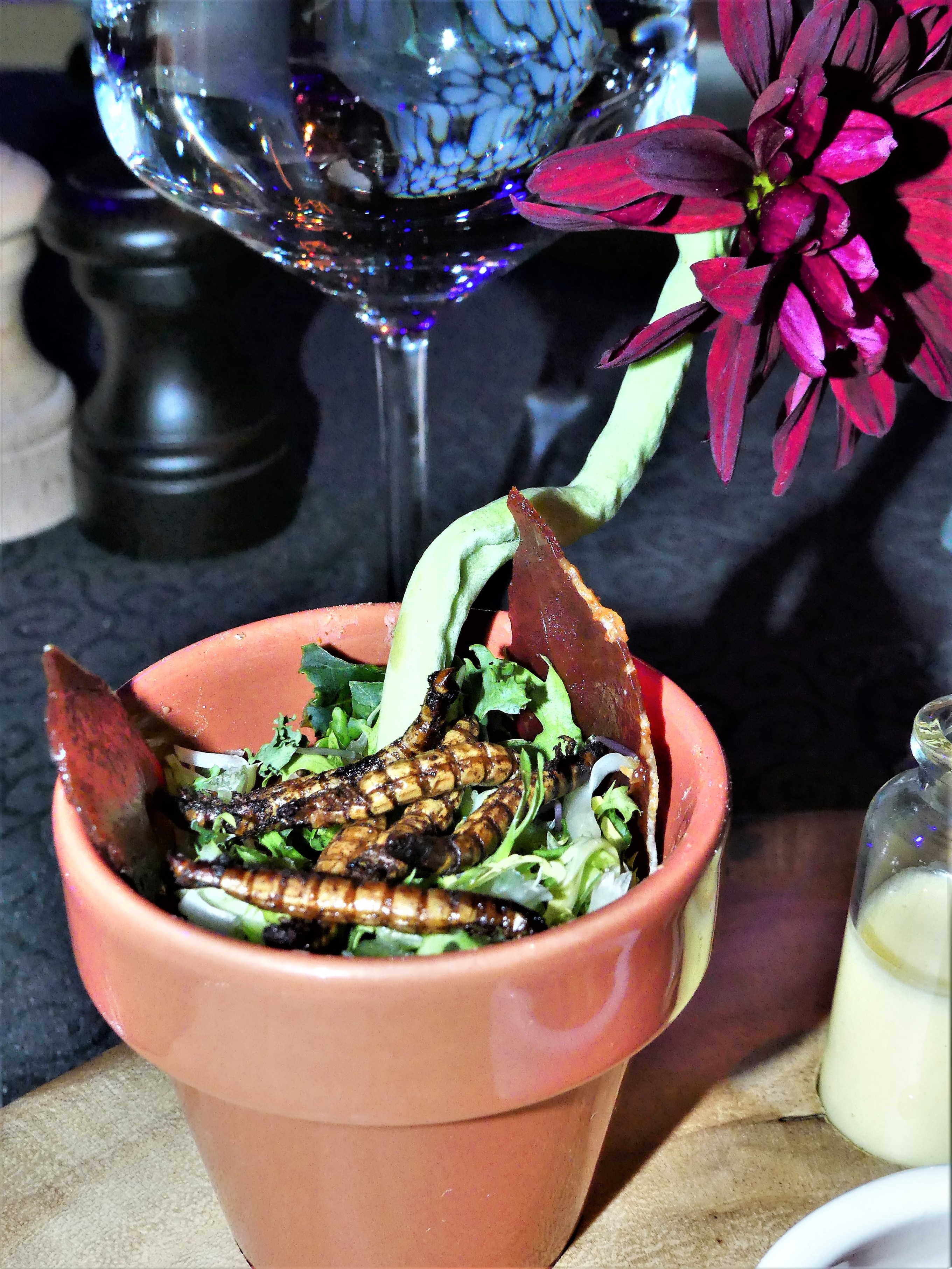 salad with worm garnish