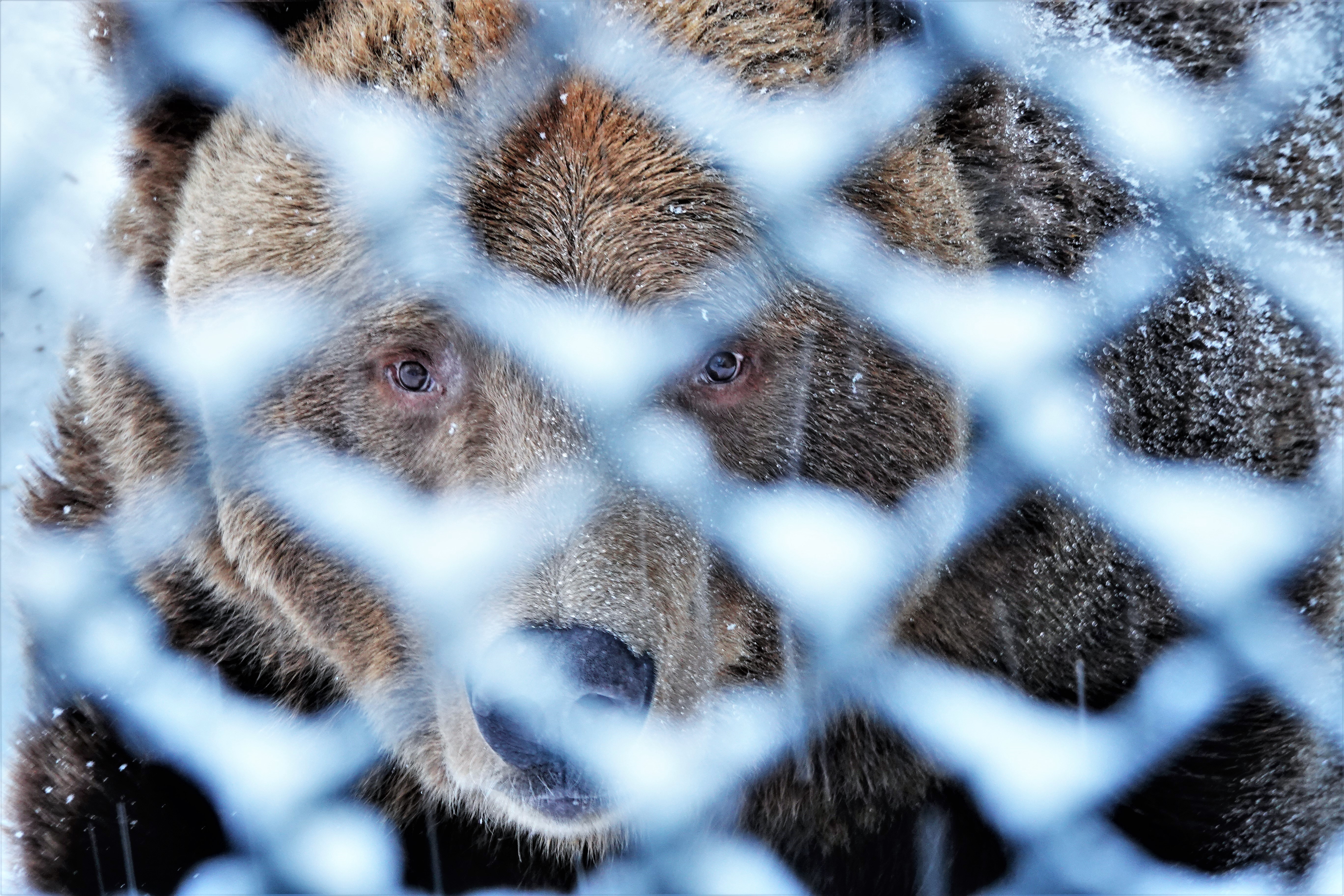 up from hibernation (2)