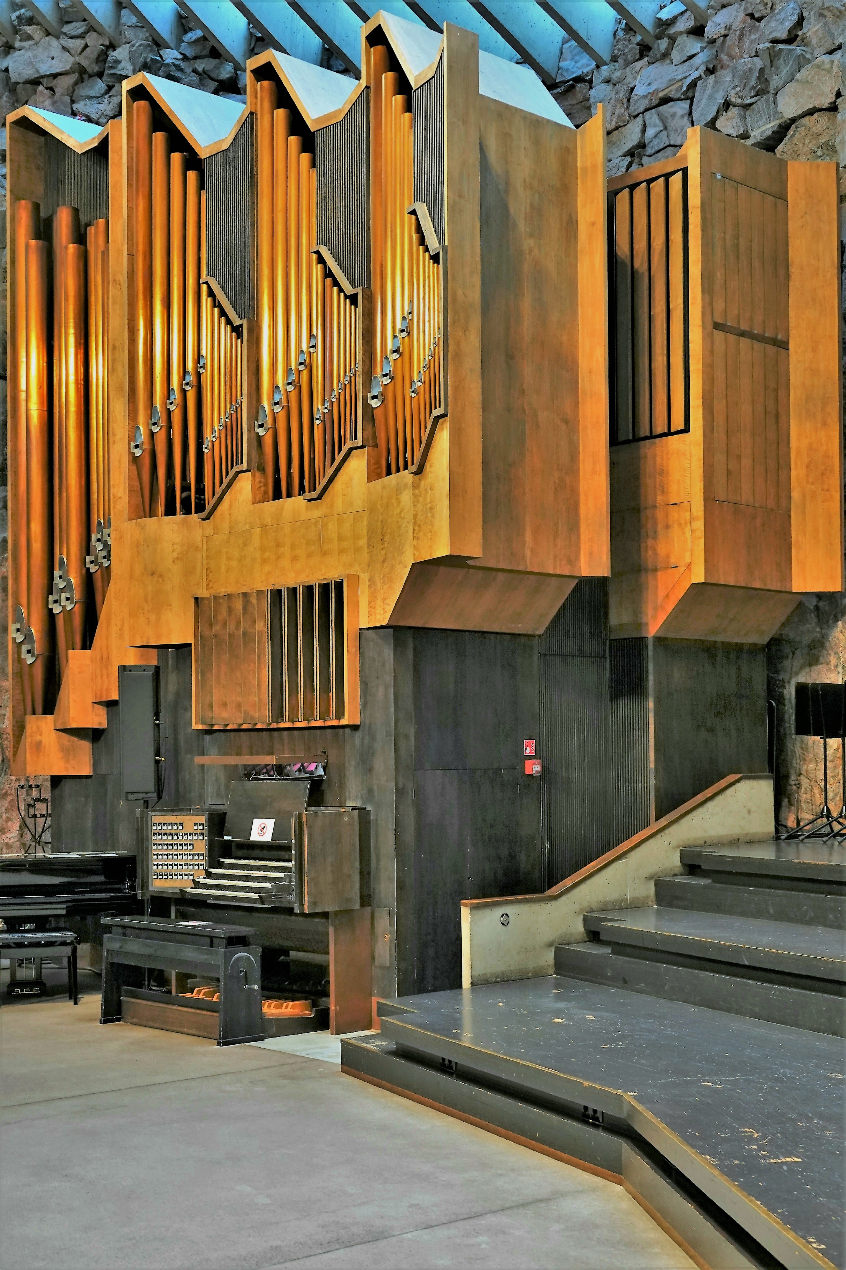 organ (2)