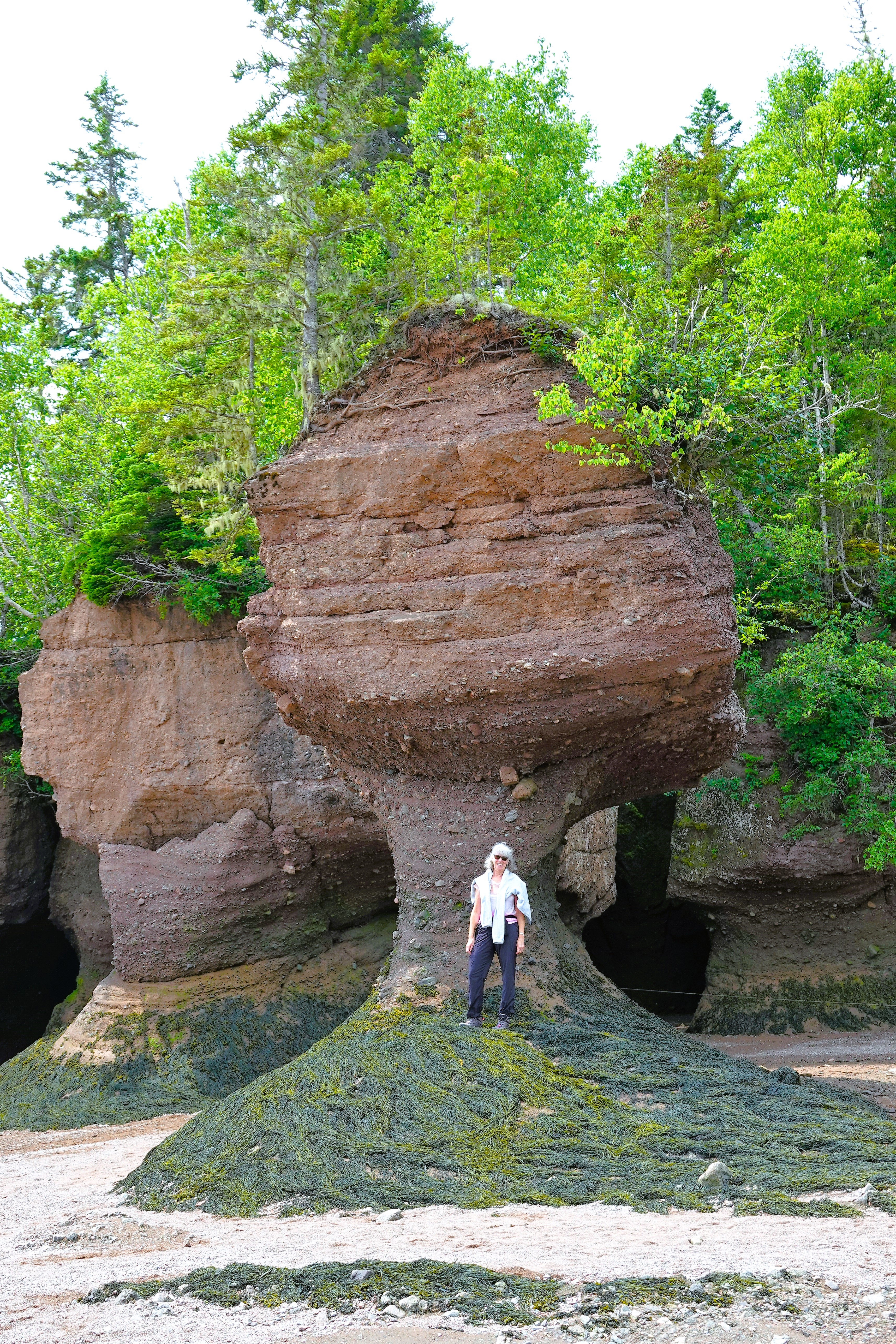 Flowerpot Rocks – Streaming thru America