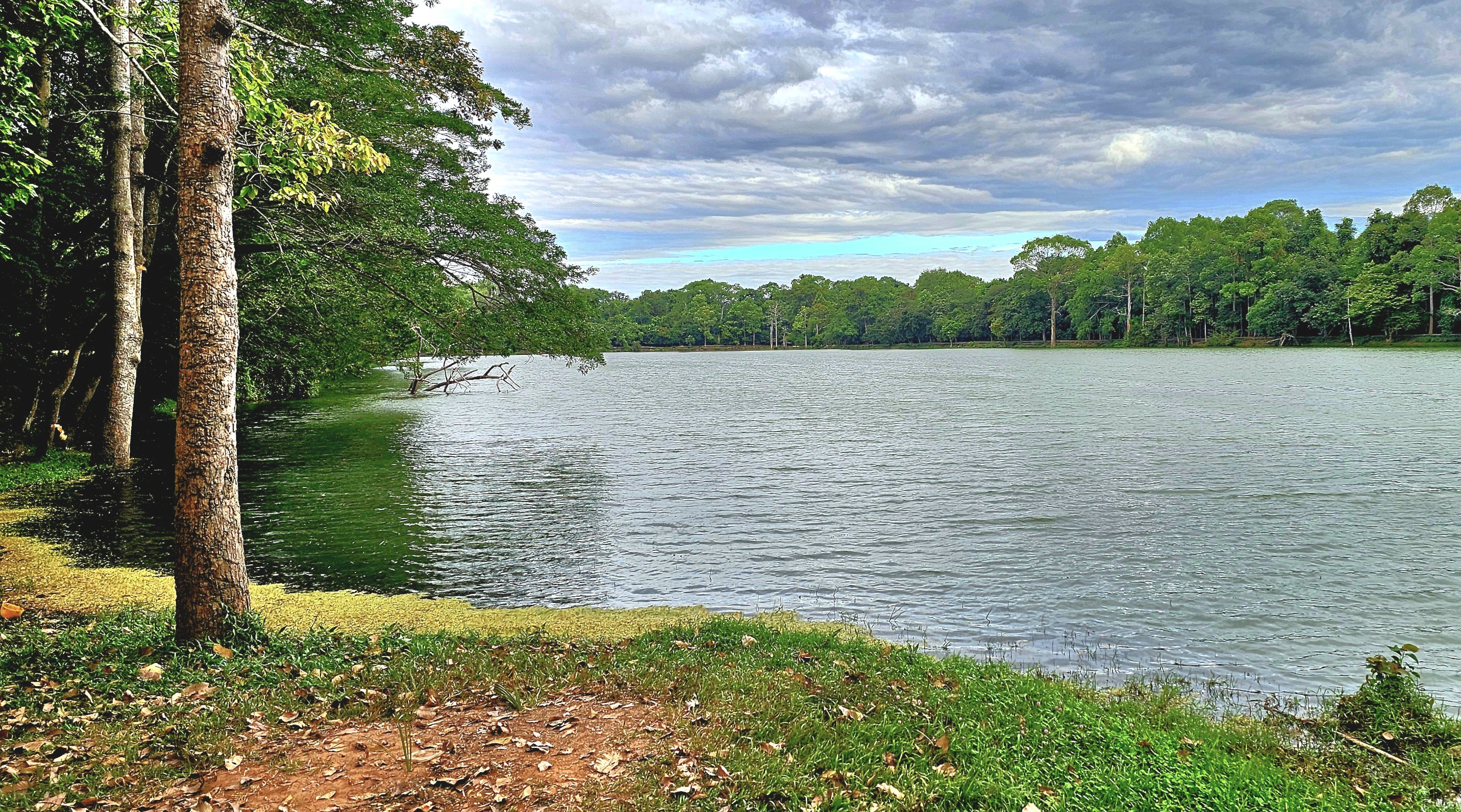 Lush greenery surrounds a tranquil lake, with trees lining the water's edge and a cloudy sky overhead.