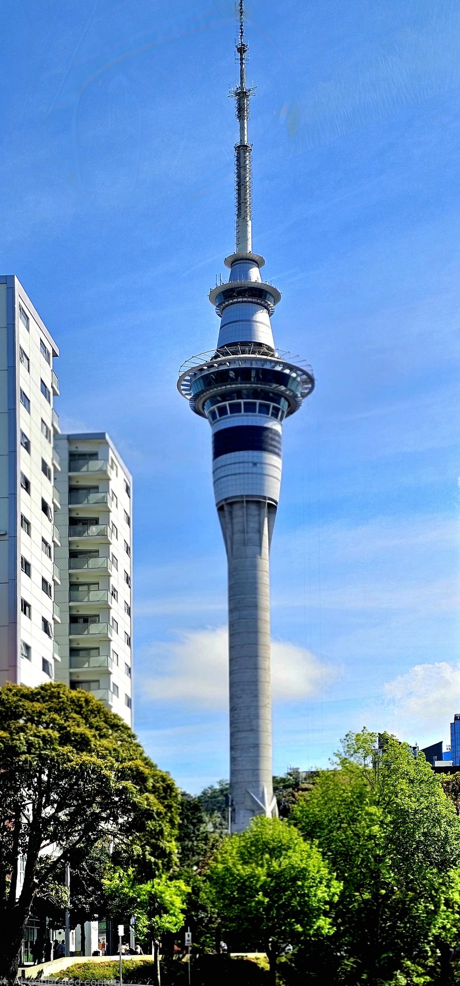 The Sky Tower in Auckland, New Zealand, towering above nearby buildings and surrounded by trees under a clear blue sky.